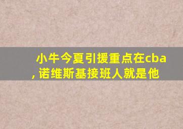 小牛今夏引援重点在cba, 诺维斯基接班人就是他